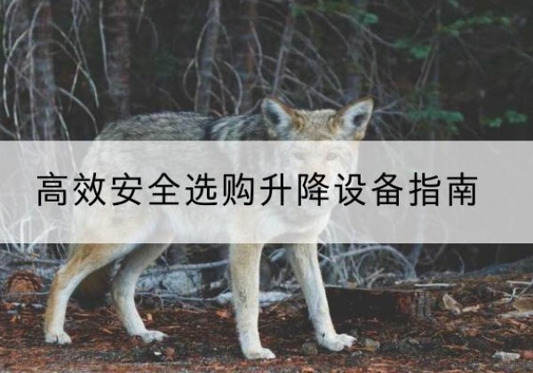 兴海升降货梯厂家推荐-*安全选购升降设备指南
