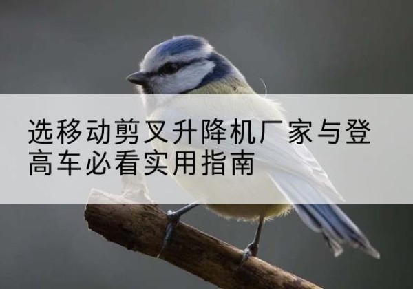 兴海电动升降机厂家-选移动剪叉升降机厂家与登高车必看实用指南