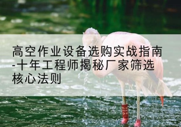 兴海剪叉式升降机厂家-高空作业设备选购实战指南-十年工程师揭秘厂家筛选核心法则